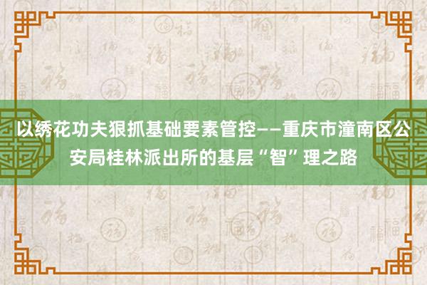 以绣花功夫狠抓基础要素管控——重庆市潼南区公安局桂林派出所的基层“智”理之路