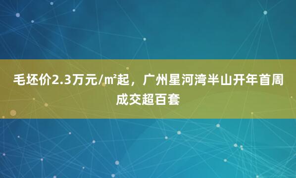 毛坯价2.3万元/㎡起，广州星河湾半山开年首周成交超百套