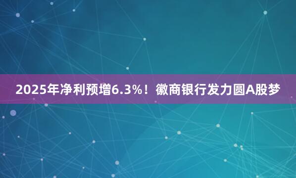 2025年净利预增6.3%！徽商银行发力圆A股梦