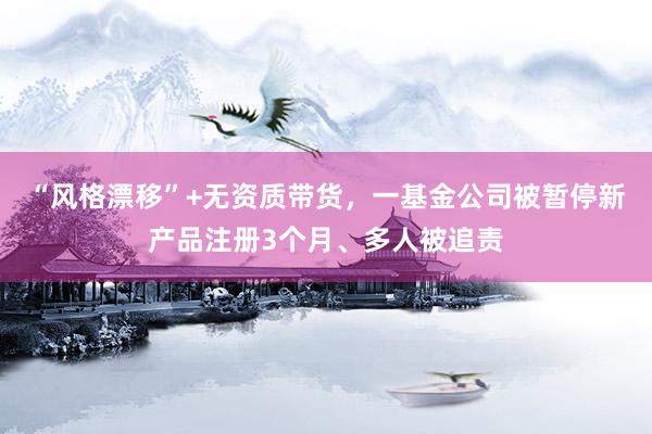 “风格漂移”+无资质带货，一基金公司被暂停新产品注册3个月、多人被追责
