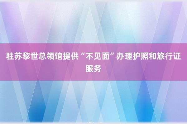 驻苏黎世总领馆提供“不见面”办理护照和旅行证服务