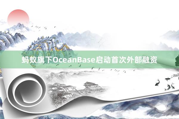 蚂蚁旗下OceanBase启动首次外部融资