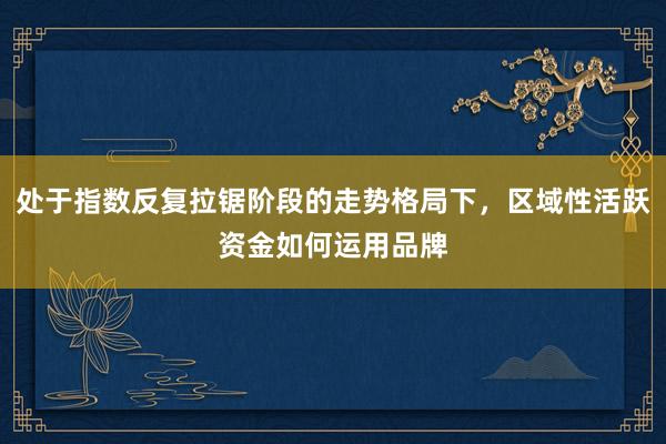 处于指数反复拉锯阶段的走势格局下，区域性活跃资金如何运用品牌