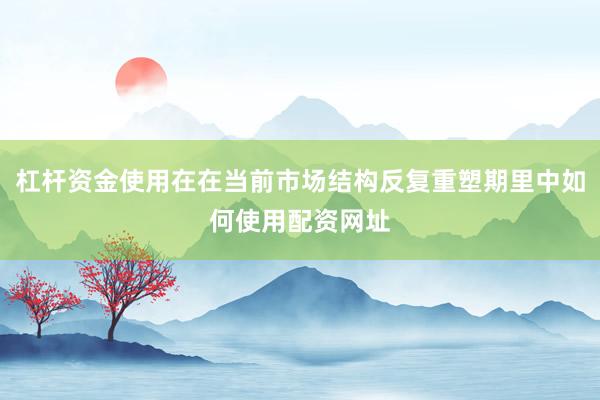 杠杆资金使用在在当前市场结构反复重塑期里中如何使用配资网址