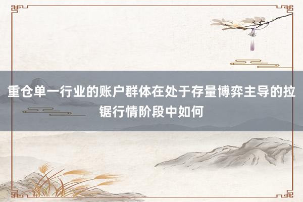 重仓单一行业的账户群体在处于存量博弈主导的拉锯行情阶段中如何