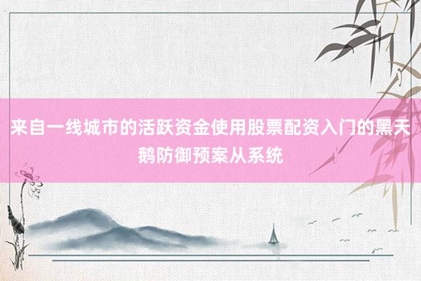 来自一线城市的活跃资金使用股票配资入门的黑天鹅防御预案从系统