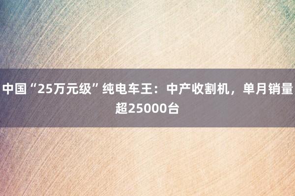 中国“25万元级”纯电车王：中产收割机，单月销量超25000台