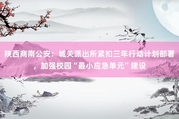 陕西商南公安：城关派出所紧扣三年行动计划部署，加强校园“最小应急单元”建设