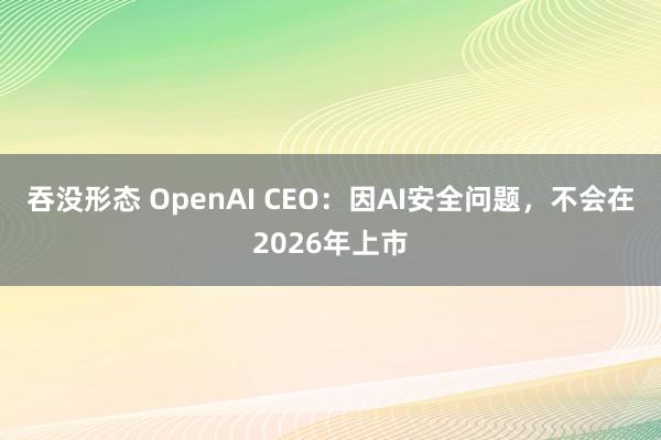吞没形态 OpenAI CEO：因AI安全问题，不会在2026年上市