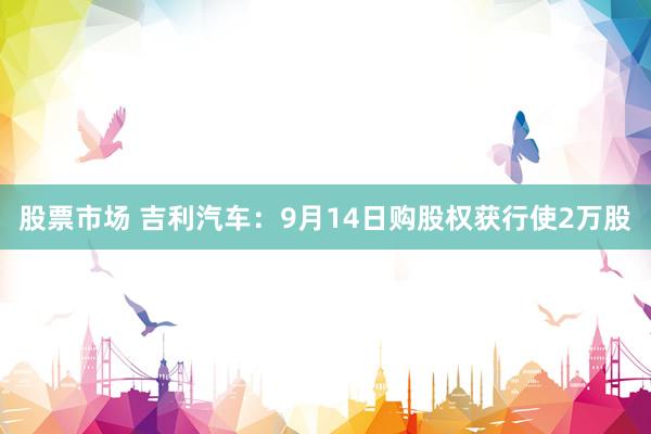 股票市场 吉利汽车：9月14日购股权获行使2万股