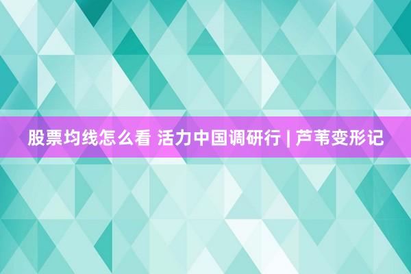 股票均线怎么看 活力中国调研行 | 芦苇变形记