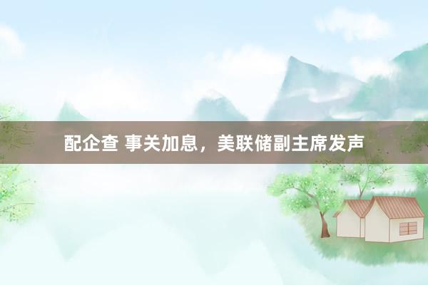 配企查 事关加息，美联储副主席发声