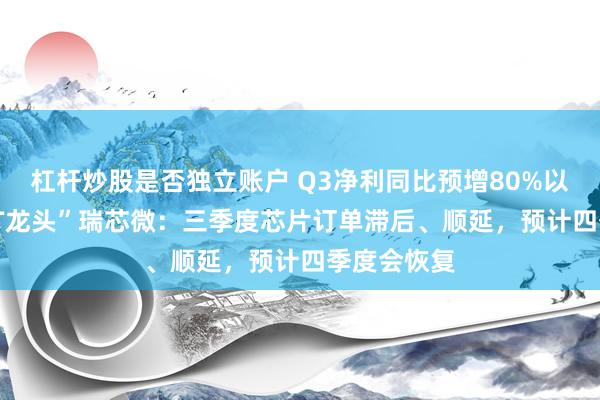 杠杆炒股是否独立账户 Q3净利同比预增80%以上，“AIoT龙头”瑞芯微：三季度芯片订单滞后、顺延，预计四季度会恢复