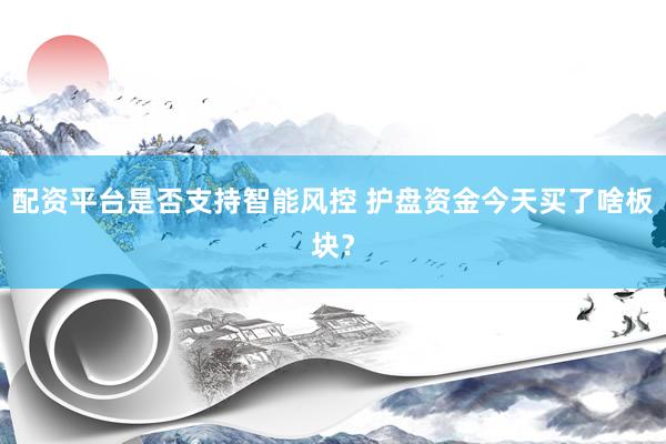 配资平台是否支持智能风控 护盘资金今天买了啥板块？