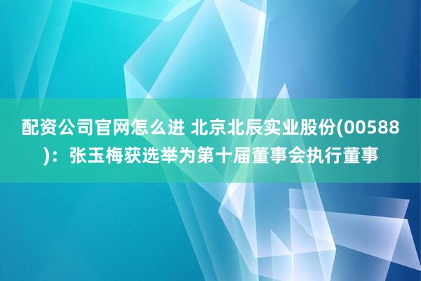 配资公司官网怎么进 北京北辰实业股份(00588)：张玉梅获选举为第十届董事会执行董事