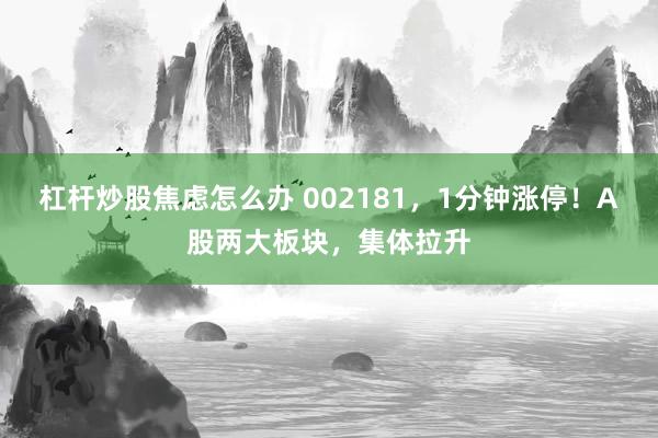 杠杆炒股焦虑怎么办 002181，1分钟涨停！A股两大板块，集体拉升
